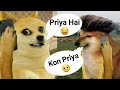 PRIYA HAI Priya Comedy Full Video Gf And BF Funny Conservation DOGE​  CHEEMS​ Dogeman