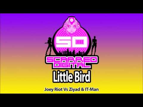 Joey Riot vs. Ziyad & It-Man – Little Bird (Original Mix)
