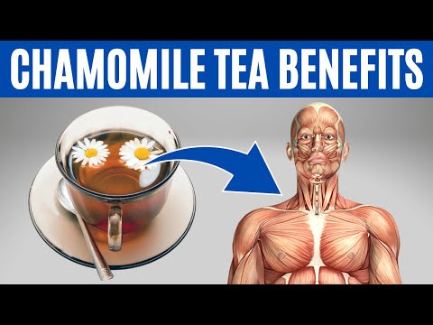 CHAMOMILE TEA BENEFITS - 13 Impressive Health Benefits of Chamomile Tea❗️