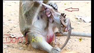 It was broken my heart, Mom newborn monkey hit her baby nearly die, It nearly pass away baby