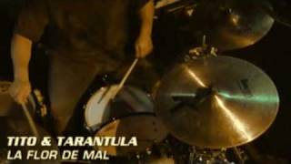 Tito &amp; Tarantula   La Flor De Mal