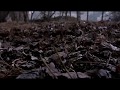 Novembers Doom/For every leaf that falls