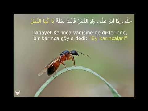 Neml Suresi 15-19.Ayet -Fahrettin Şentürk