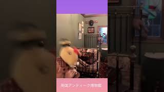 英国アンティーク博物館のホームズさんのお部屋にお邪魔したよ！！  #shorts
