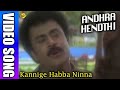 Kannige Habba Ninna Kannada Video Song Andhra Hendthi Ramya Krishna Madan Mallu TVNXT