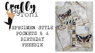 Vintage Specimen Junk Journal Pockets………+ A Birthday FREEBIE