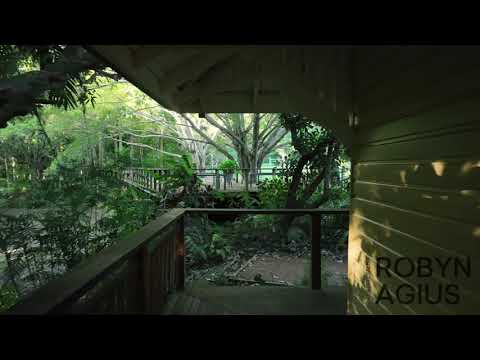 231 Cape Hillsborough Road