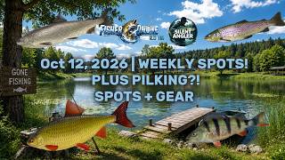 🔥 Fisher Online WEEKLY TASKS + PILKING TECHNIQUE! 🎣 Rudd, Perch, Trout &amp; Chir | Spots &amp; Gear