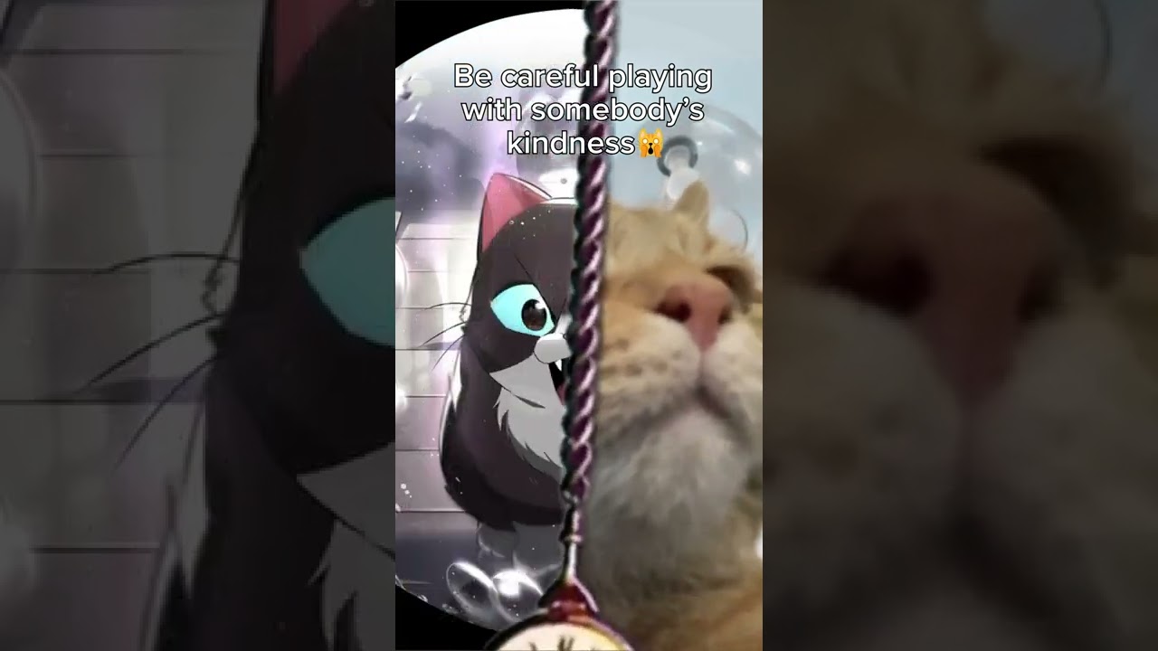 Meows Big Enough to Blow You Away 😼 #InternationalCatDay #WEBTOON