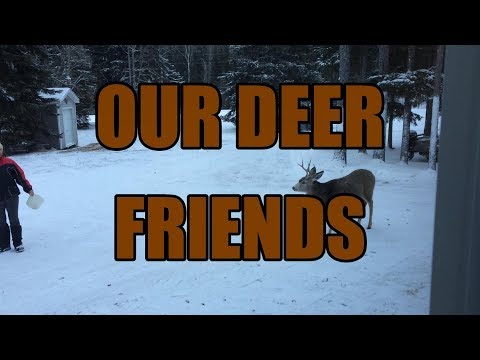 OUR DEER FRIENDS