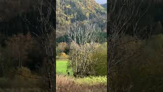 Download lagu Journey to Bergen#lifestyle mp3 Download lagu Journey to Bergen#lifestyle mp3