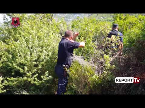 Report TV - Magazina me drogë në Laç, zbardhen përgjimet, policia thirrej Ujku