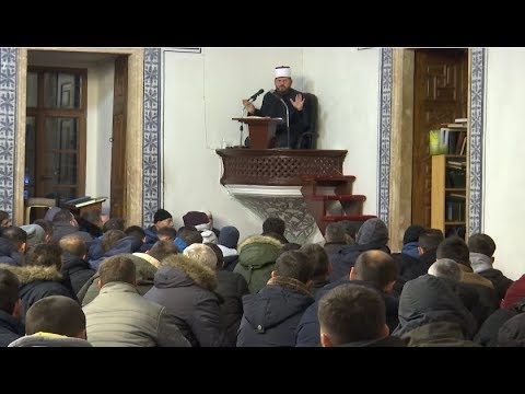 27. En-Neml 82-86 - "Dalja e shtazës nga toka"