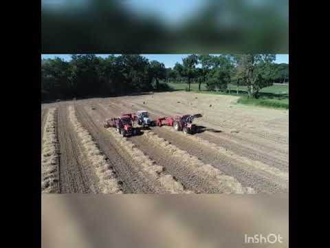 balenpersen in colmschate 2020