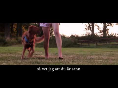 Summer 2013 with Olle