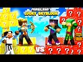 LUCKYBLOCK SKYBLOCK Noob Vs Pro Gone Wrong