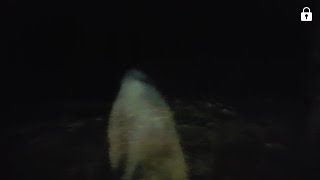 Ghost Hunting at Mission San Juan Capistrano, SA TX **Possible apparition!!**