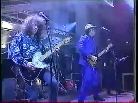 Webb Wilder - tough it out (live NPA 1993)