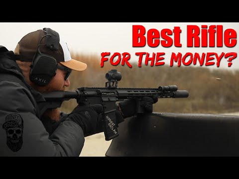 Best Rifle For The Money?