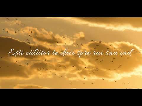 Ligia Bodea - Călătorul