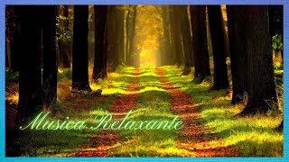 O Descanso, Paz Eterna Comea  Agora e Dentro de Voc