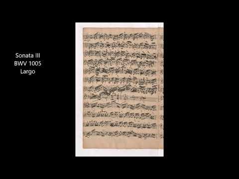 J.S.Bach Sonata III for Violin Solo BWV 1005 Largo