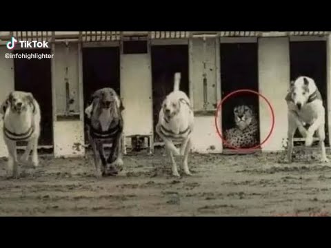 The best golden lines | Best lesson | Whatsapp Status Video | Speed Track