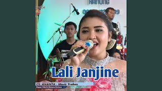 Download lagu Lali Janjine mp3