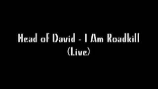 Head of David - I Am Roadkill (Rockatansky V. Schwarzenegger) (Live)