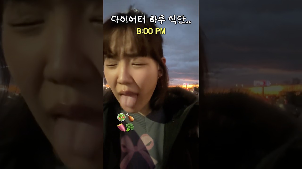 다이어터의 하루 식단