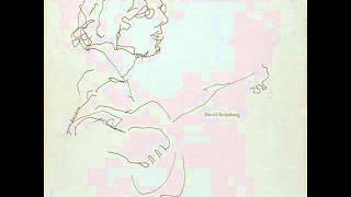 David Bromberg - The Boggy Road to Milledgeville