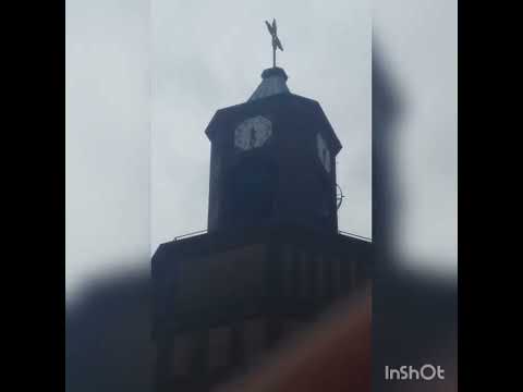 Le Campane di Canegrate (MI) Chiesa Parrocchiale di Santa Maria Assunta