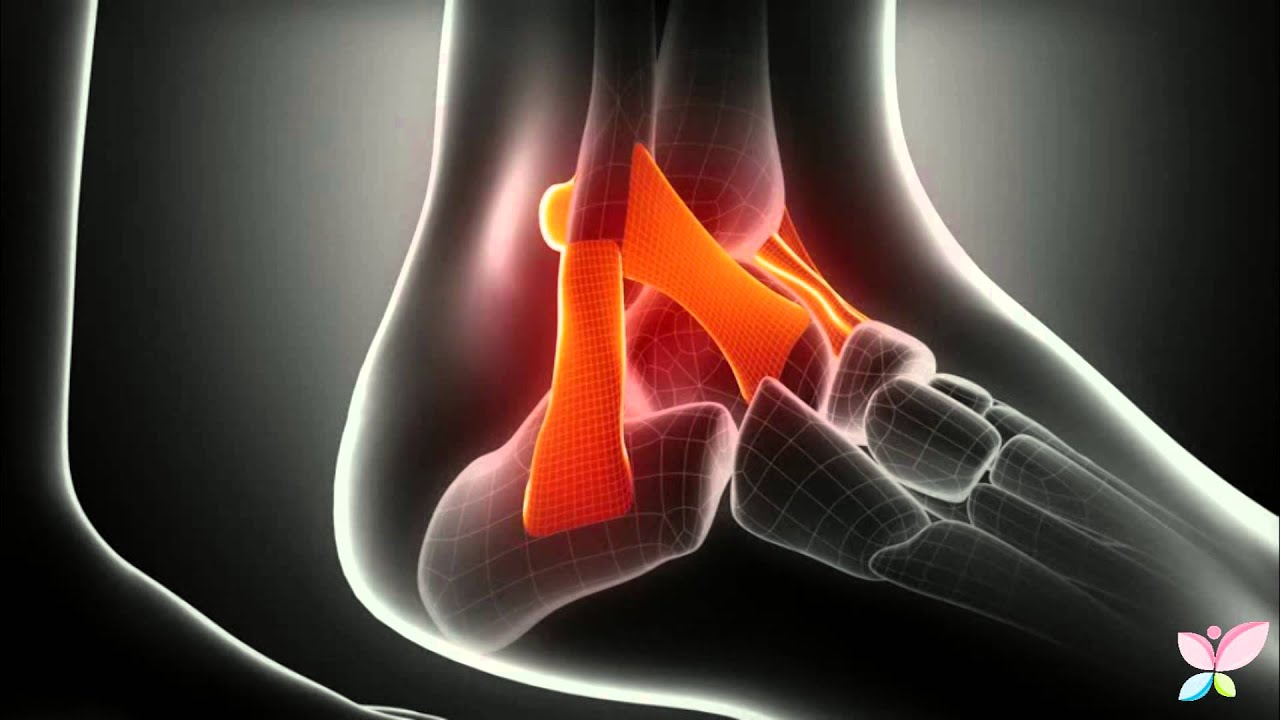 Jorge Baeza Orozco-5