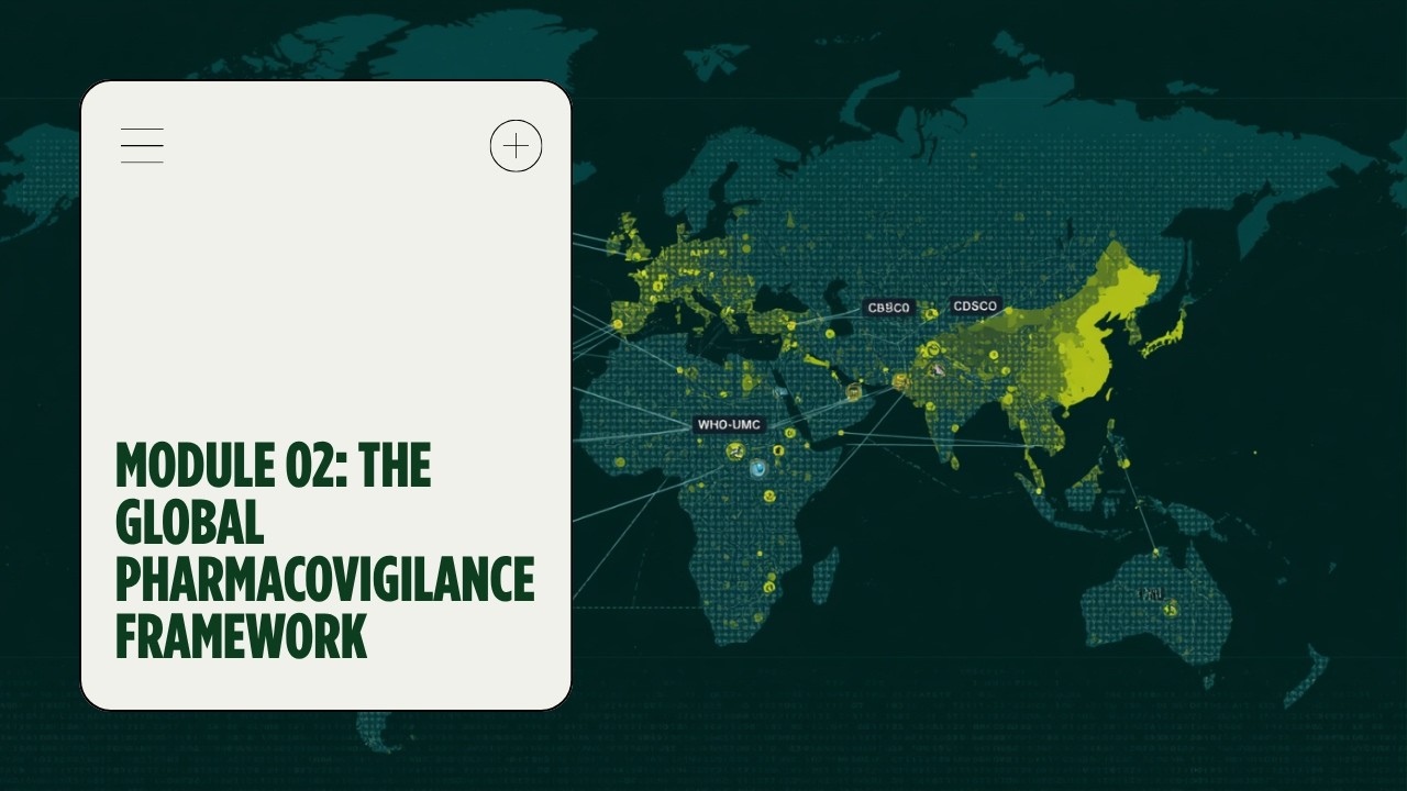 The Global Pharmacovigilance Framework — module video