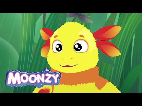 Moonzy 🎈🍕☀ First five new episodes 2025 🌈⚡⭐ Cartoons for kids