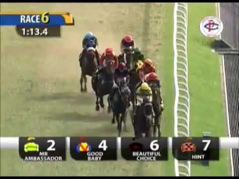 HINT (AUS) - Penang T.C. RM 500,000 2,200 M YANG DI PERTUA NEGERI GOLD CUP 30 12 2012