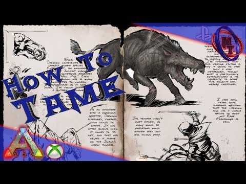 Ark Survival Evolved How To Tame Daedon