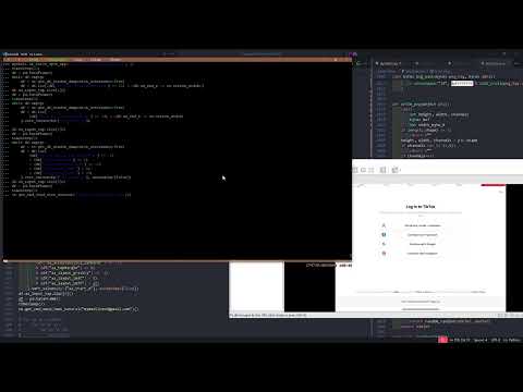 Video 1