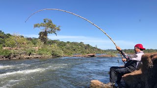 JAUS NA VARA DE BAMBU, DOIDEIRA .