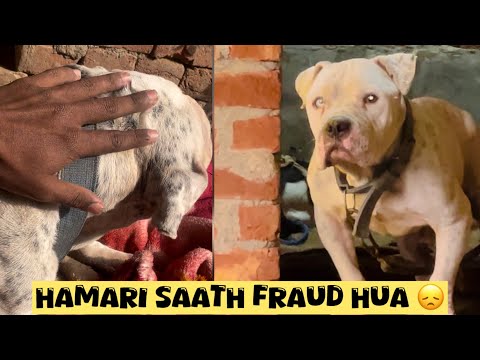 Jhooth bol ka la gaya ￼Mack ko 😞 kis na kya se Fraub 🫣@NikhilPetHouse 