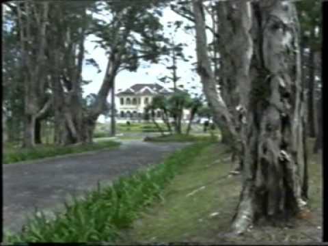 Đà Lạt tình yêu - Vũ Khanh