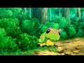 Misty Still Scares Of Bug Type Pokemons Pokemon Sun And Moon Ep 43