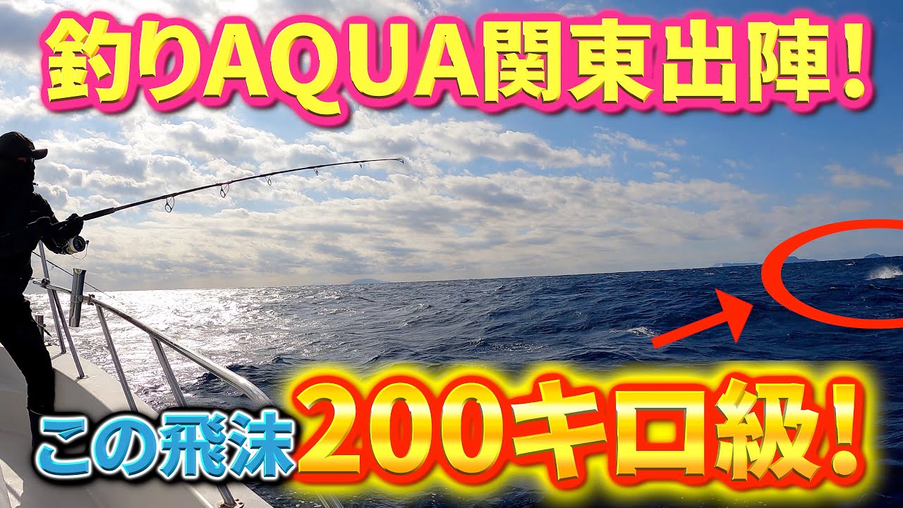 関東巨大マグロに挑む！【クロマグロ】