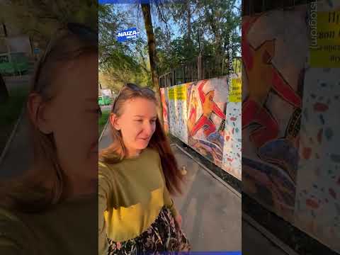 Алматинка помогла утке с утятами перейти дорогу