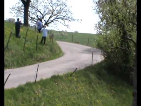 1 RALLY DEI MASTINI 2011