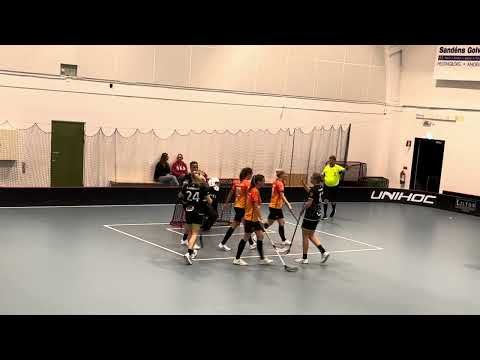 HIGHLIGHTS Damer Div.3 Norra Skåne FBC Engelholm - Åstorp/Kvidinge IBS B 4-4