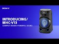 Sony Systèmes audio MHC-V13D Noir