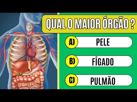 Quiz de Anatomia: Descubra o Quanto Você Sabe sobre o Corpo Humano! #quiz