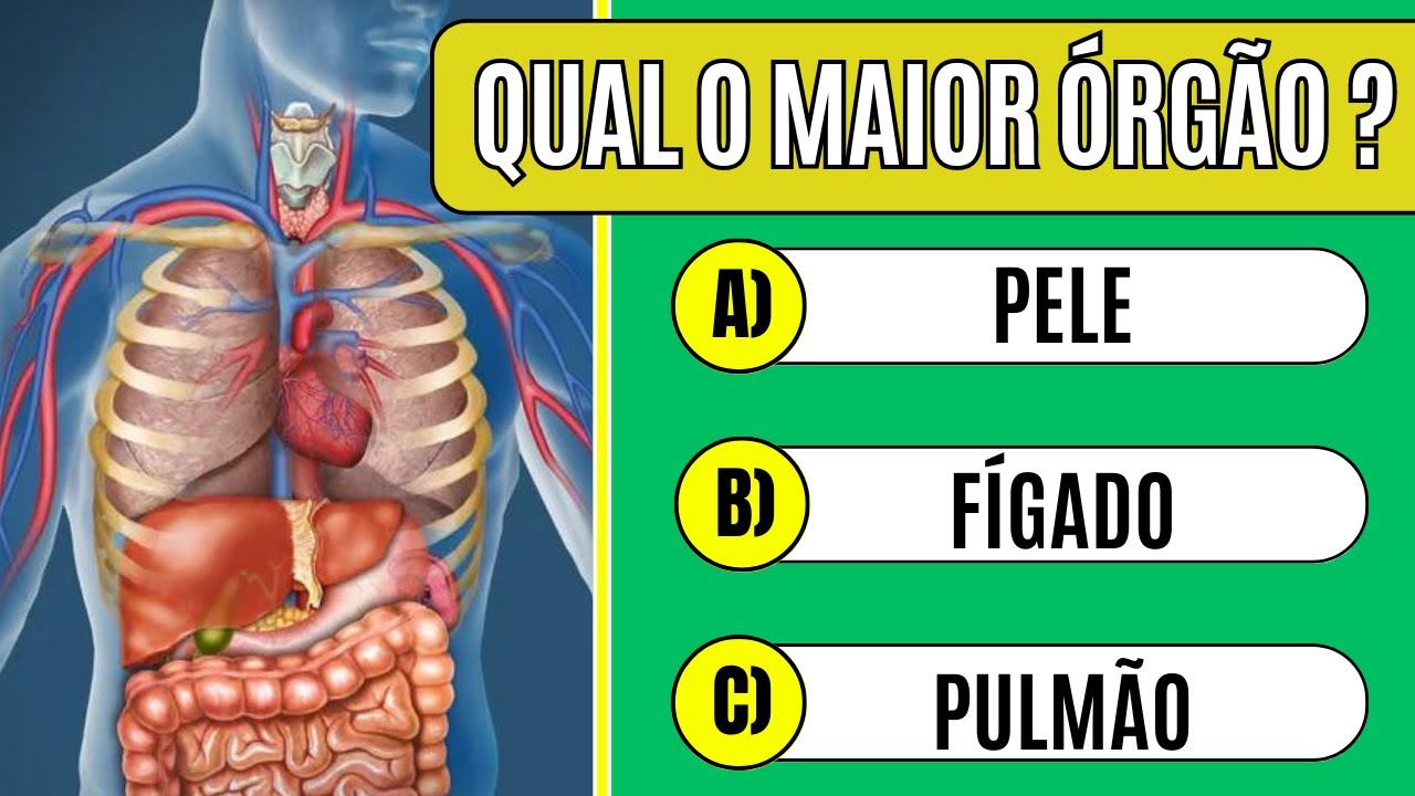 Quiz de Anatomia: Descubra o Quanto Você Sabe sobre o Corpo Humano! #quiz