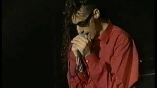 Carter USM - Lean On Me I Won&#39;t Fall Over - live on The Beat 1993
